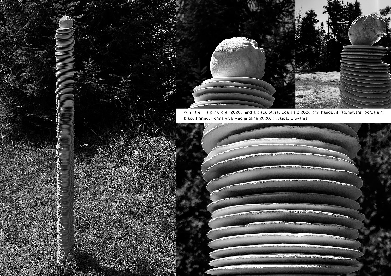 bela smreka1500x1500 300dpi